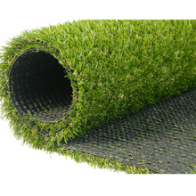 Load image into Gallery viewer, Grass Express C2014
