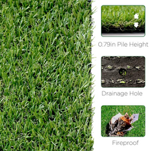 Load image into Gallery viewer, Grass Express C2014
