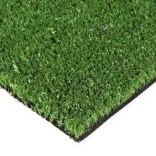 Load image into Gallery viewer, Grass Express 1030
