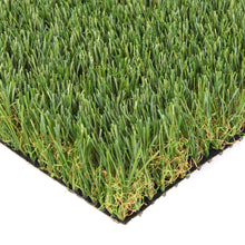 Load image into Gallery viewer, Grass Express C3516
