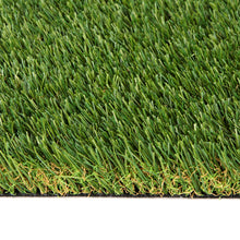 Load image into Gallery viewer, Grass Express C3516
